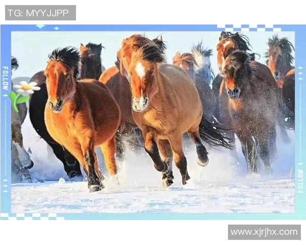 重庆飞盘队灵活性对比研究揭示战术优势与发展潜力